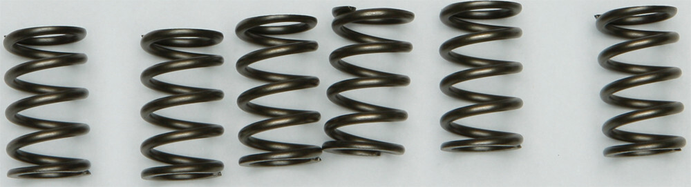 EBC CSK130 Clutch Springs CSK130