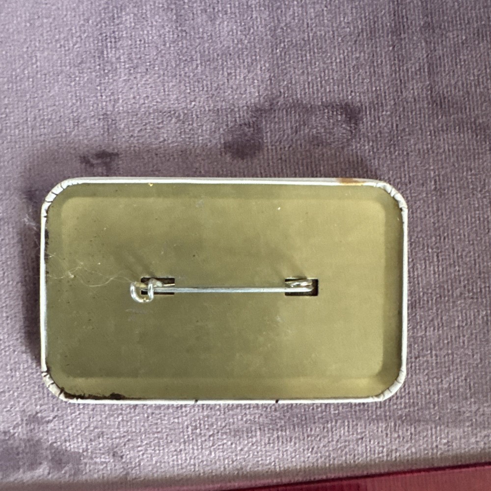 Gray Panthers button Age and Youth in Action Pin