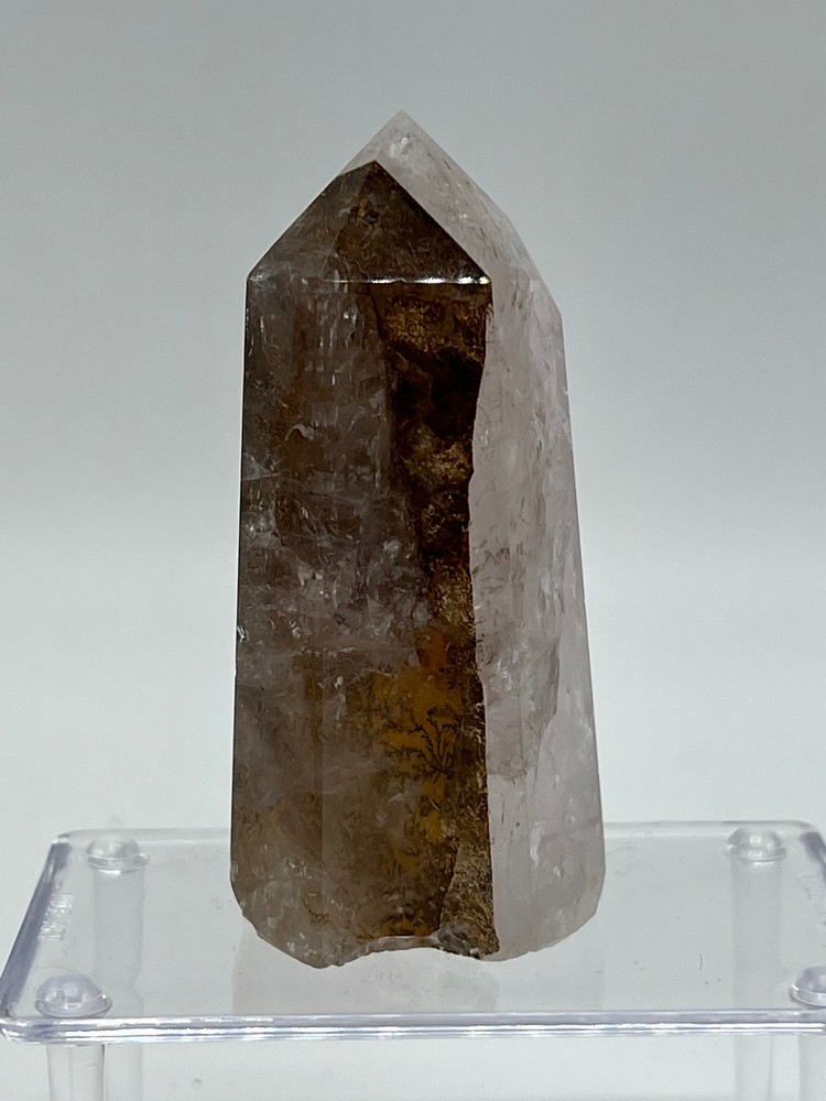 Dendritic Quartz A