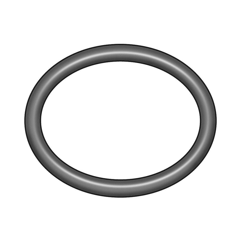 GRAINGER APPROVED 1RGK2 O-Ring,PTFE,White,PK5 1RGK2