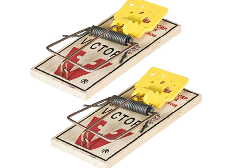 Victor Easy Set Wood/Plastic Mouse Trap 8-Count