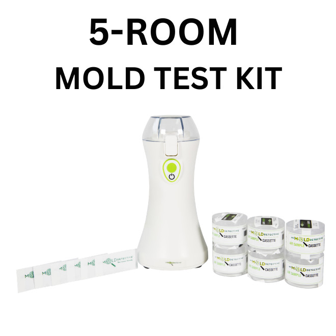 5-Room Mold Test Kit, Air & Surface Samples