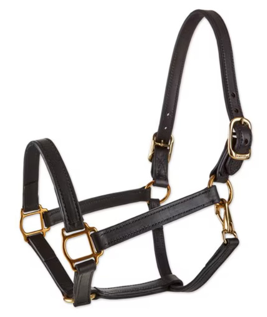 DIY - HALTER - LEATHER BASIC / FLAT HALTER KIT - Level 3