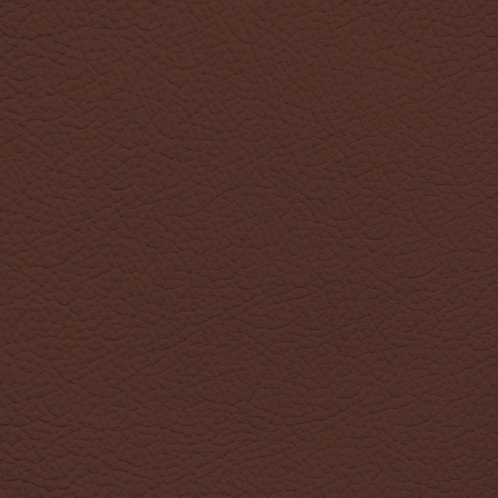 GM Pillion Brown Leather Dye