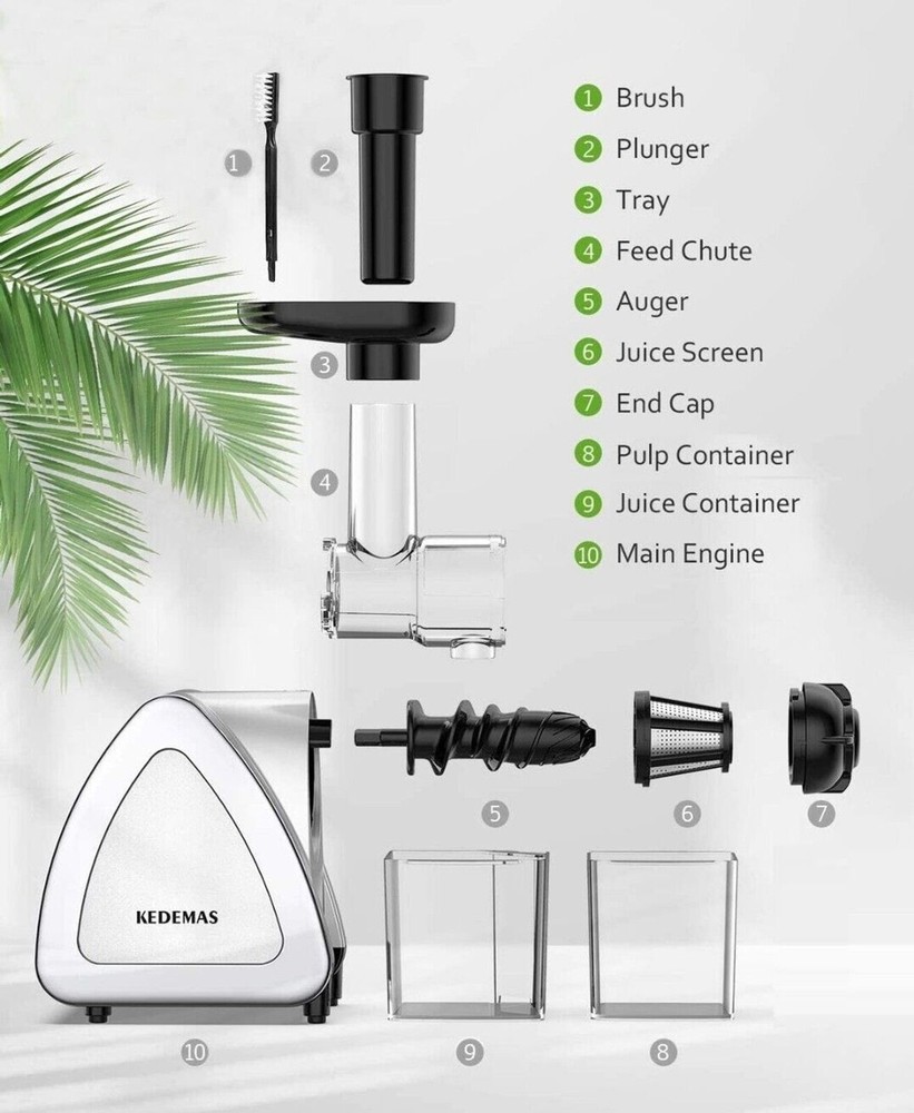 Portable Hand Juicer, Juicer Machines with Reverse Function, Cold press, Silver