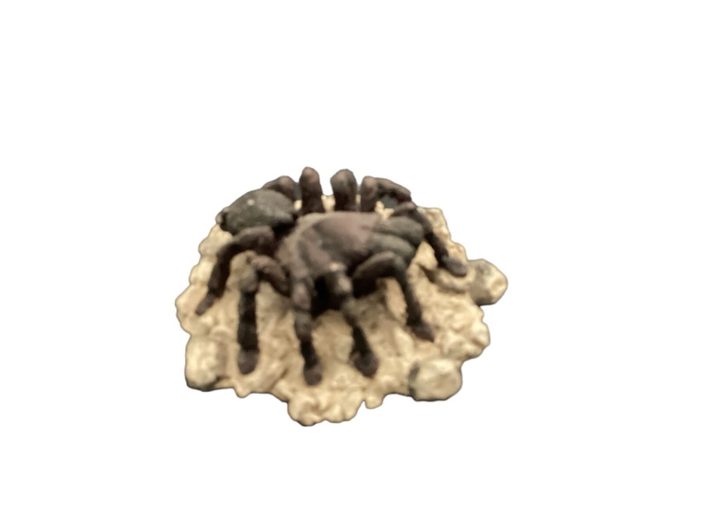 The Skull Collection - From the Summit Collection and Pacific Giftware-7 figures