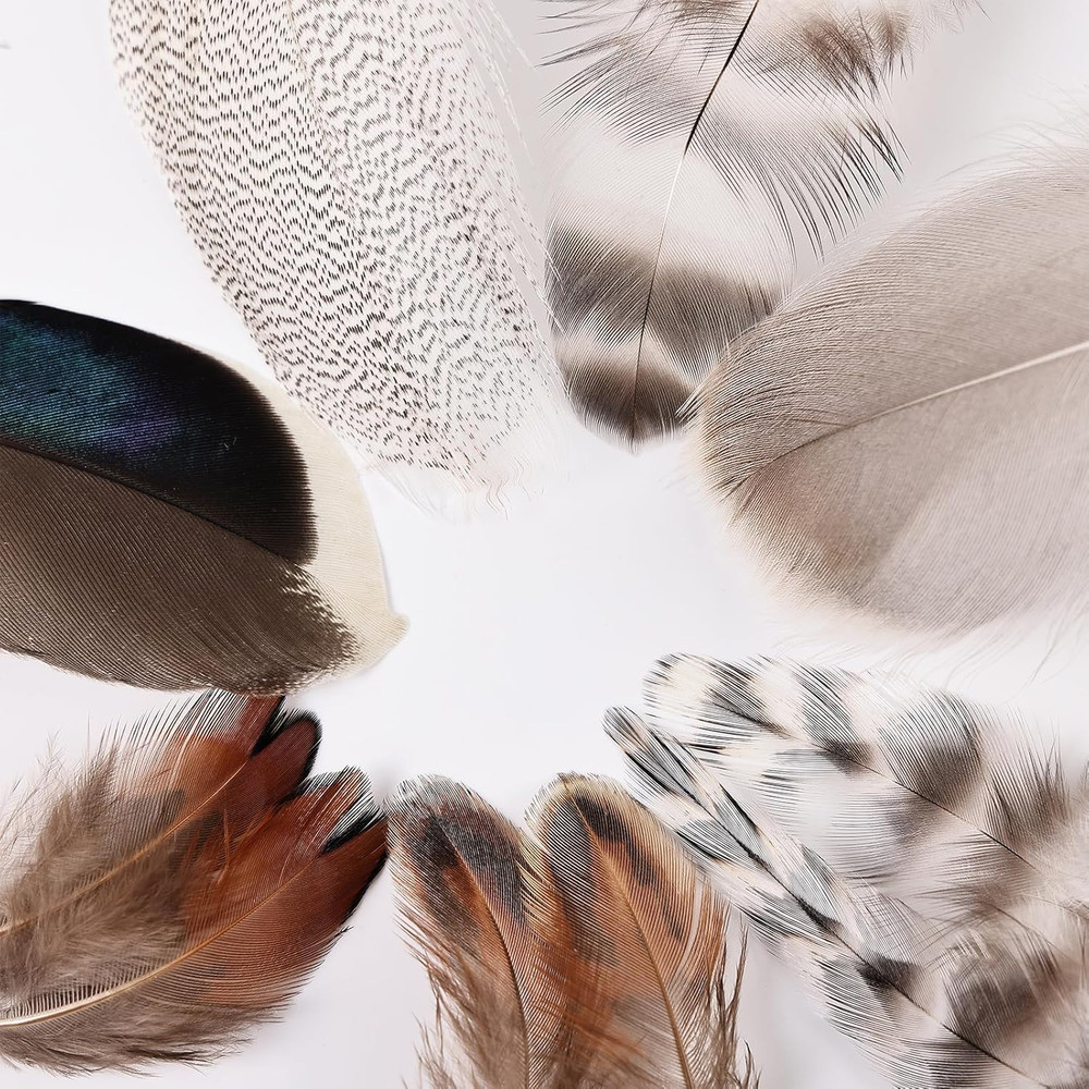 MAOFENG 210Pcs 7 Styles Natural Bulk Feathers Assorted Mixed Feathers for DIY Cr