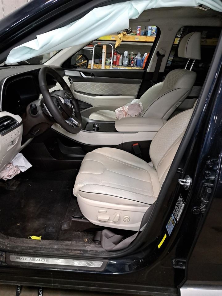 2020 Palisade Camera/Projector Sku#4355348