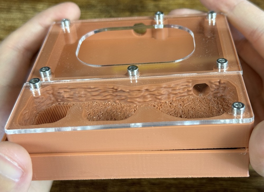 Ant farm "Eco"