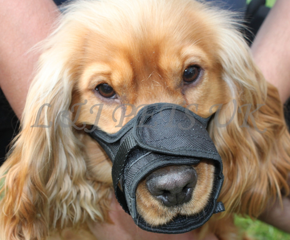 NEW Nylon Adjustable Pets Mouth Set Muzzle for Dog Set Stop Chewing Bark Bite