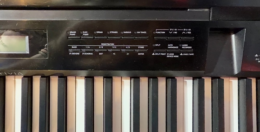 Casio Privia Electric Piano PX-350M