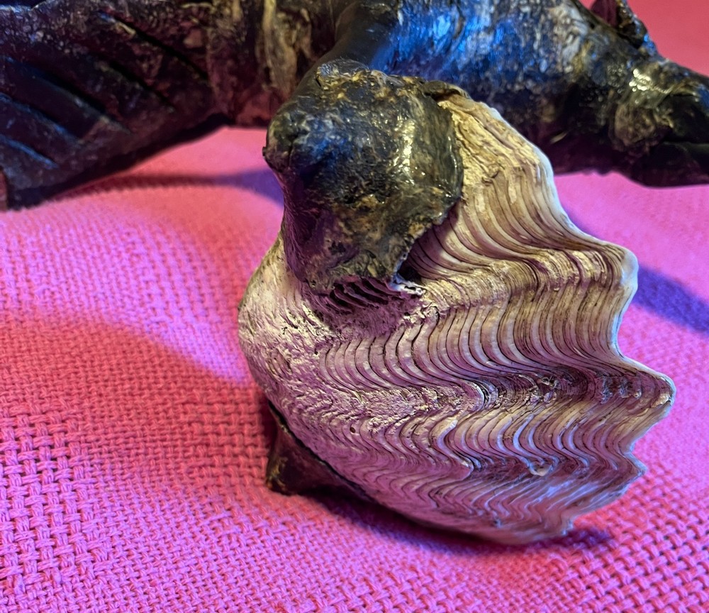 ONE OF A KIND EAGLE ORNAMENT