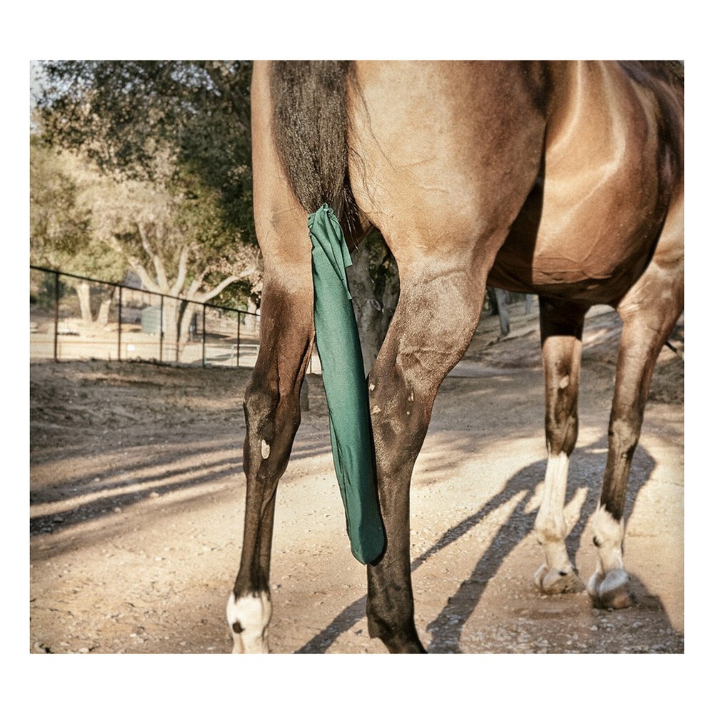Sleazy Sleepwear Tail Bag, Color: Hunter 02018