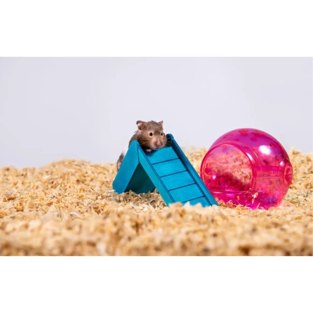 PetsPick Kiln Dried Soft Pine Bedding For Small Pets, 41L