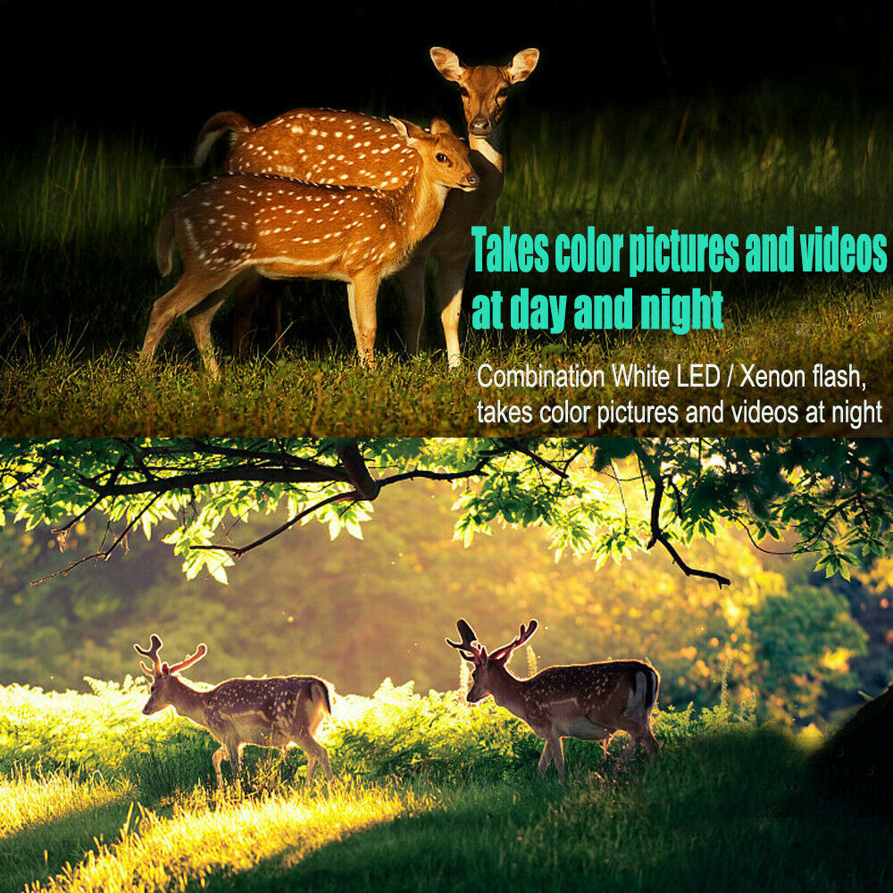 Trail Camera Game Deer Hunting Camera Night Vision White LED flash Waterproof