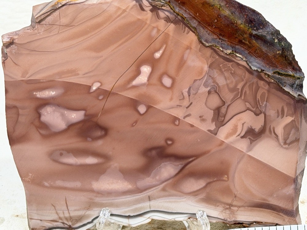 Willow Creek Jasper Slab, Lot #171