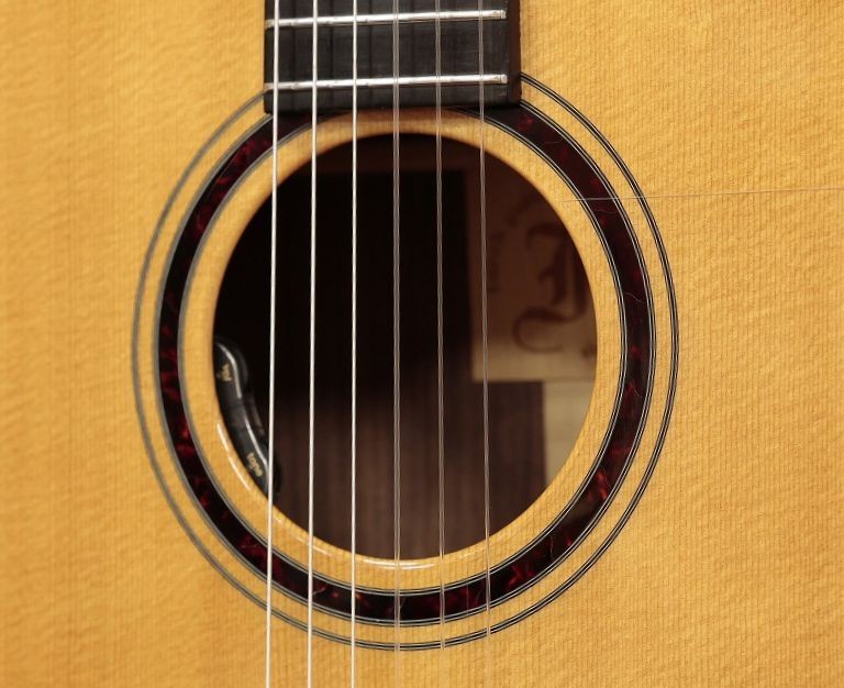 Furch GN4SR Used Elegat