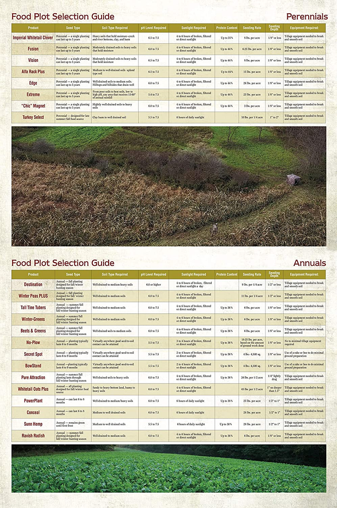 Winter-Greens Deer Food Plot Seed for Fall Planting - Annual