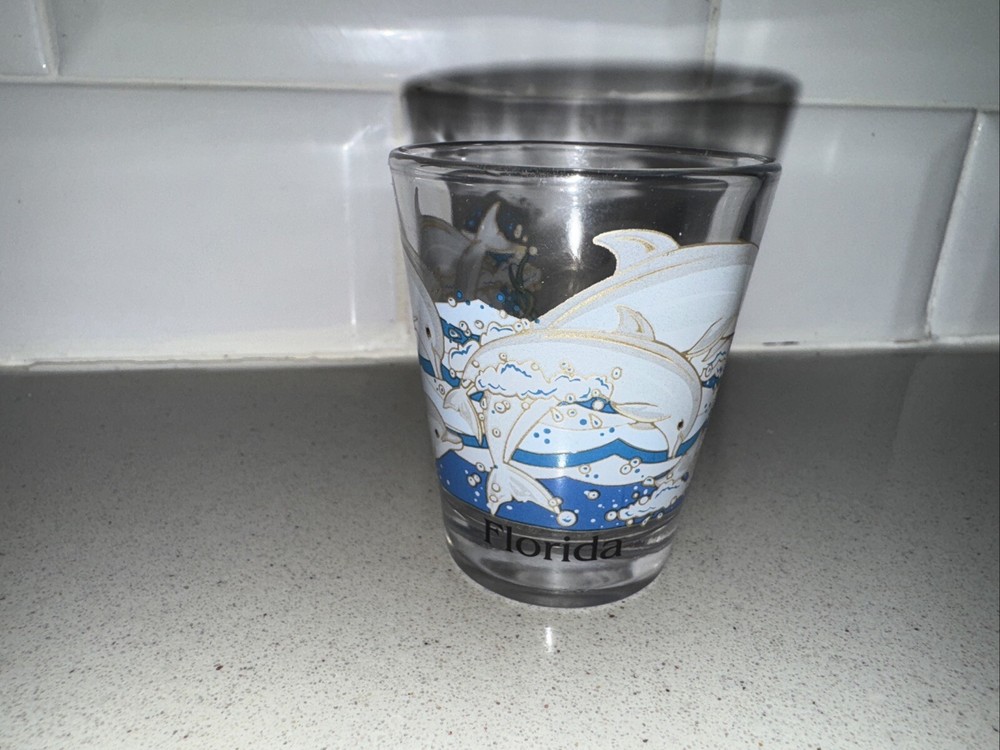 FLORIDA Dolphins souvenir  shot glass