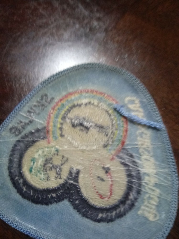 NASA SKY LAB PATCH