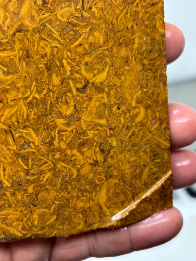 Script Stone Jasper Slab Cabbing Lapidary Collecting Combo Ship Avail