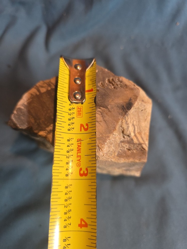 Petrified Wood Rough Approx 4x4 950 Grams