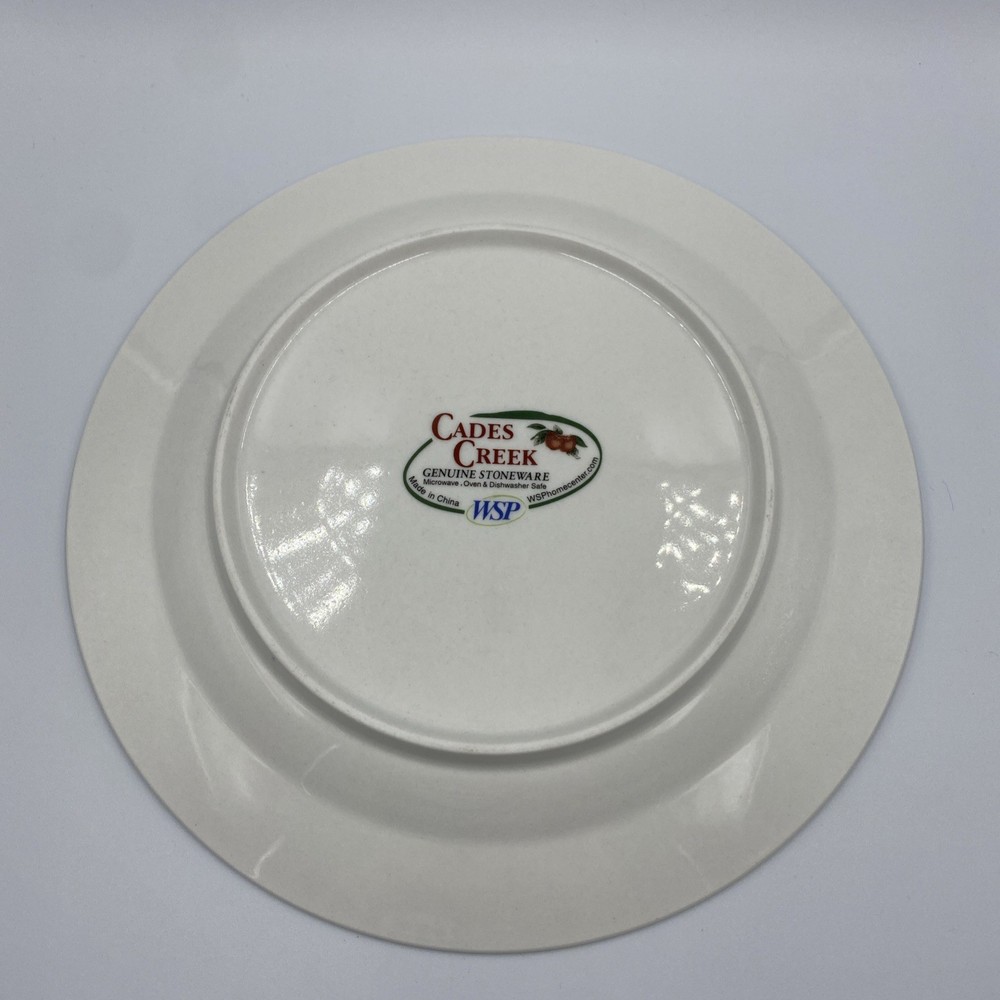 Cades Creek Stoneware Dinnerware 4 Piece Place Setting New Boxed Set 12940 Apple