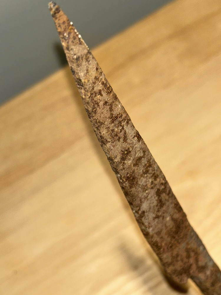 Antique Iron Grape Pattern Shutter Dog, Vineyard or Garden Spike