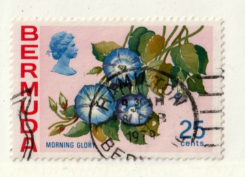 Bermuda      324         used