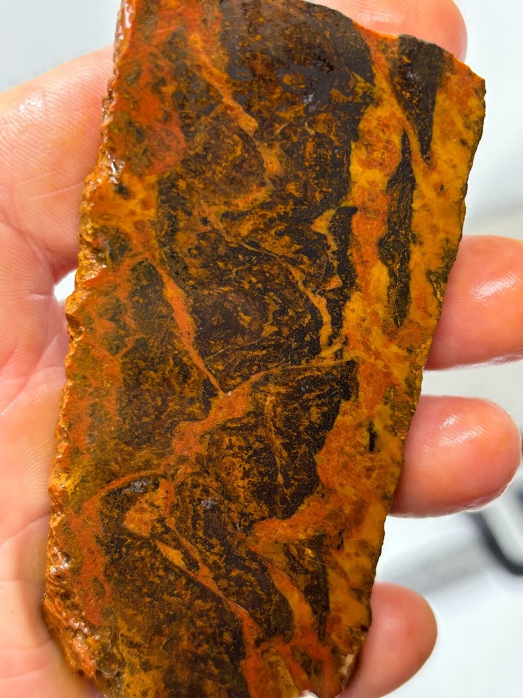 Mexican Tiger Tail Jasper Slab Lapidary Cabbing Combo Ship Avail