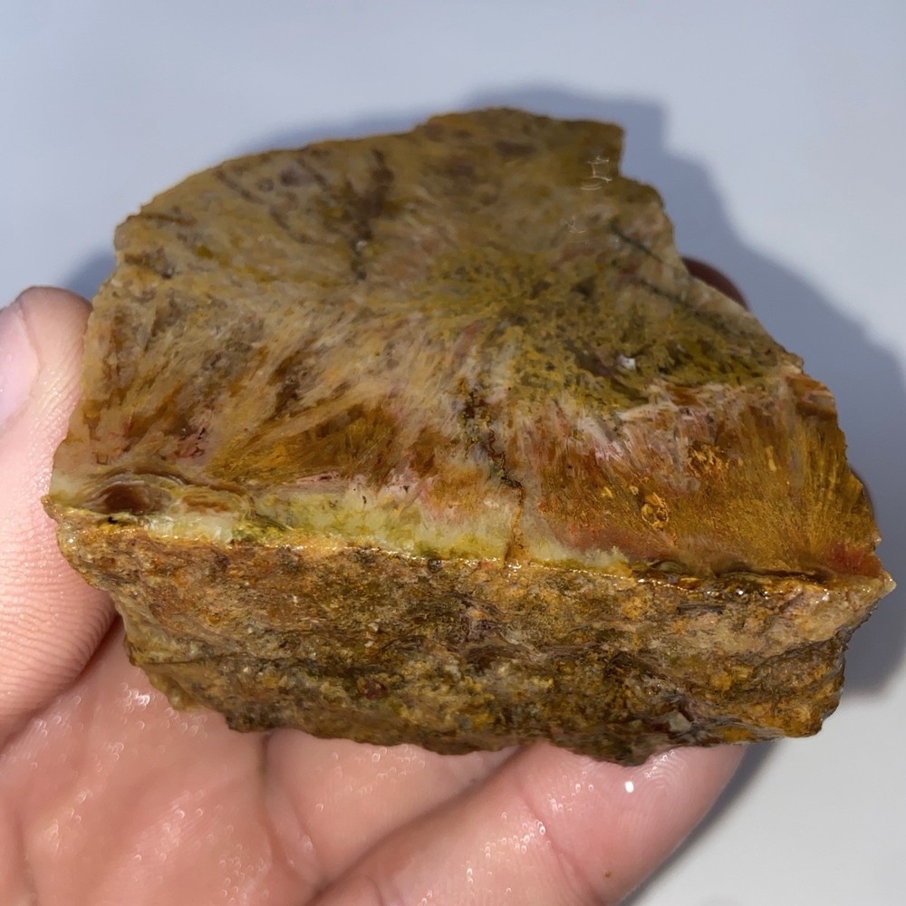 Sagenite Agate Natural Rough 6.27 Oz!