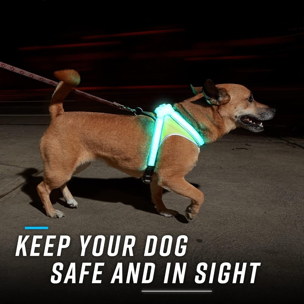 LED Dog Harness Reflective USB Rechargeable Adjustable Rainproof Large