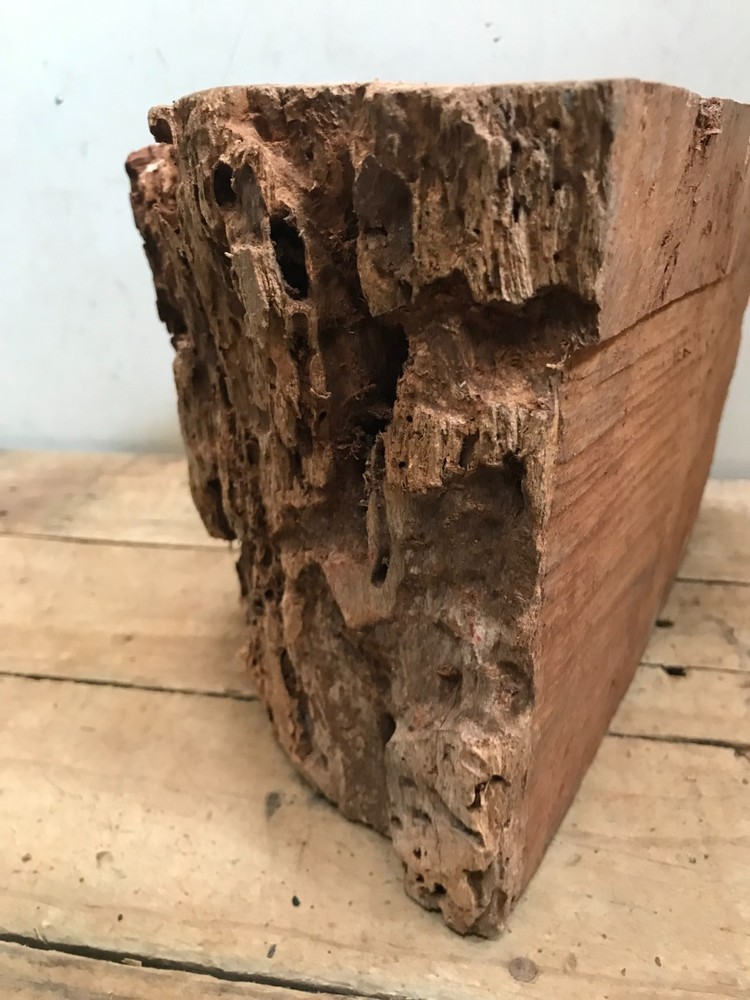 Black Walnut Weathered Block Lathe Turning Carving Chunk