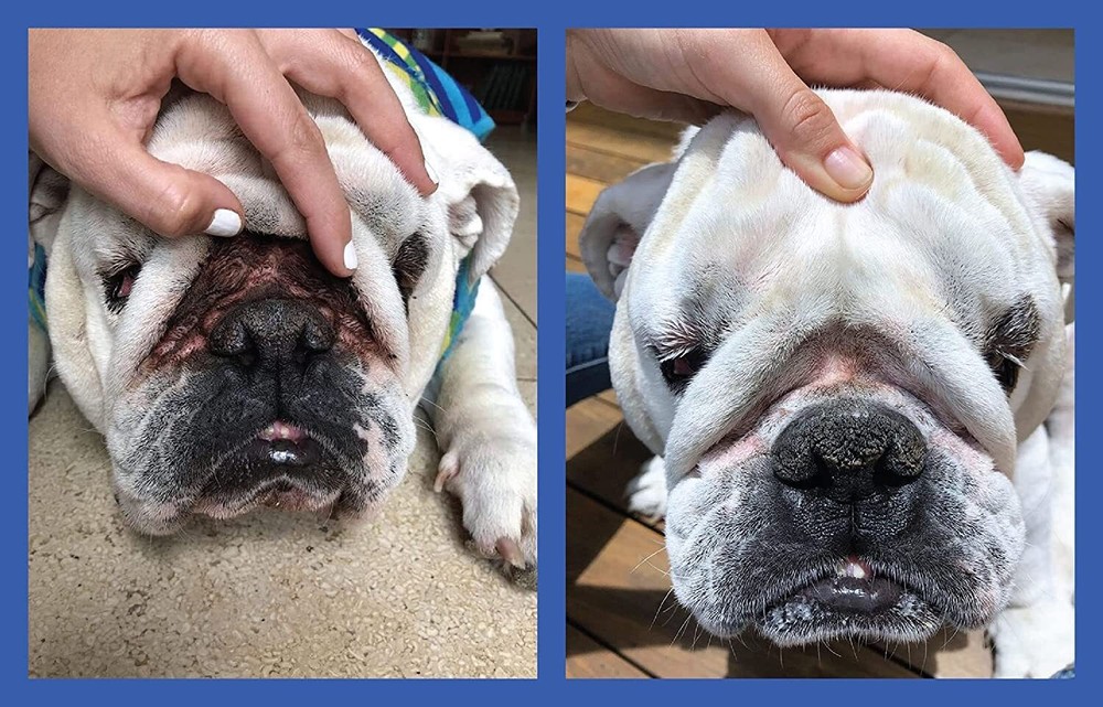 Squishface Flexible Silicone Dog Wrinkle Paste Applicator - Gentle Application