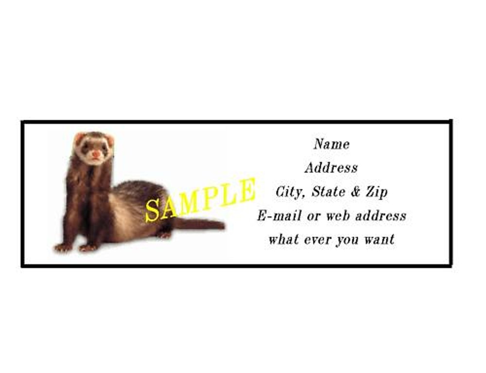 FERRET ADDRESS LABELS COOL!!! #3