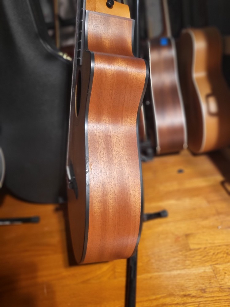 Taylor 112ce-N Grand Concert A-E Nylon String Guitar