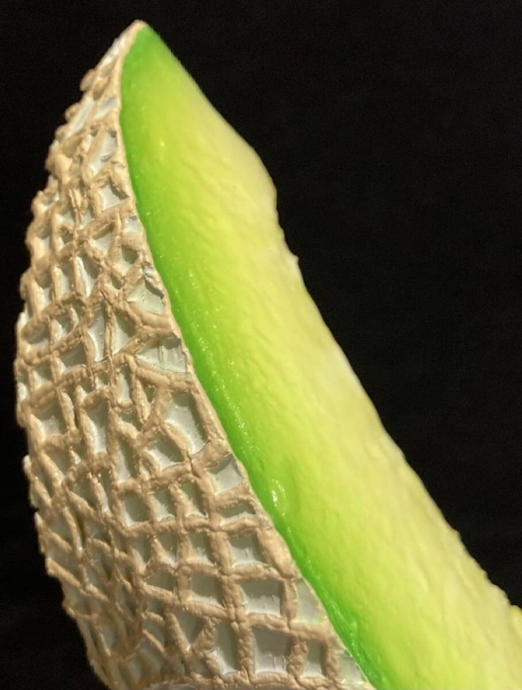 Food sample cut melon large