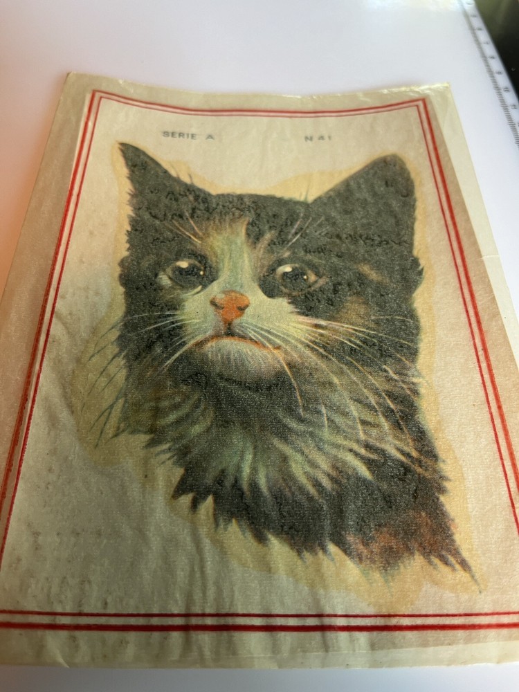 Vintage Water Slide Decals Cat