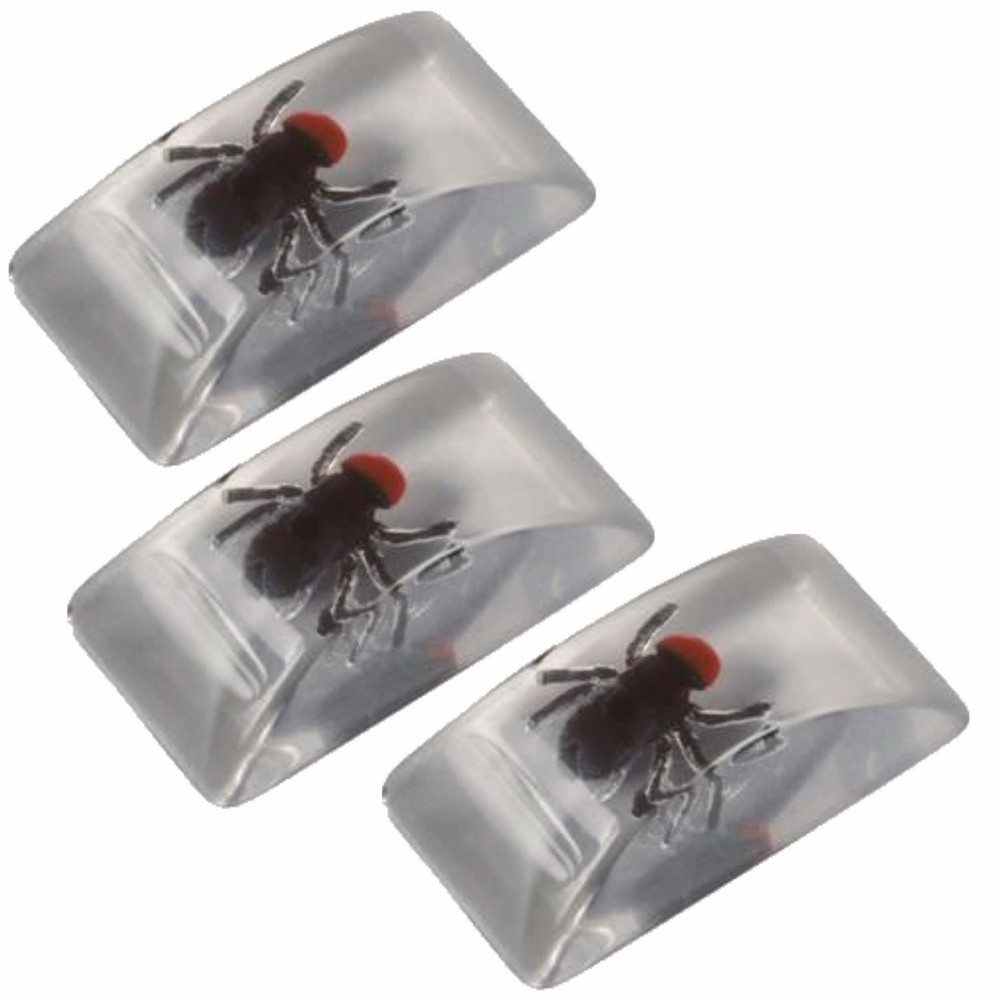 Bug In Ice Cube 3 pack