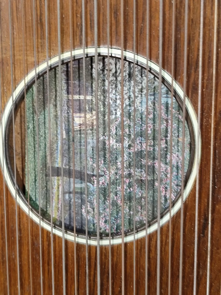 Ziter Tabletop Cetra 34 String Braun & Hauser Munich