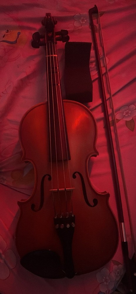 Viola Size 3/4