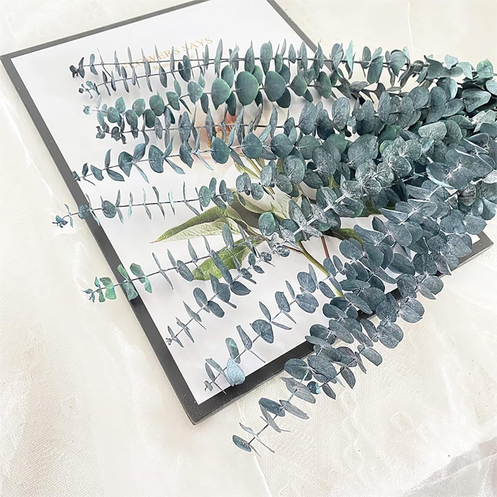 10 Pack Natural Dried Eucalyptus Bundle,17 Inch/45Cm Preserved Fresh Eucalyptus
