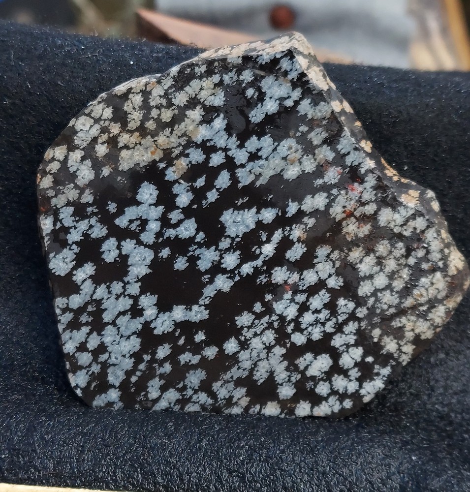 Snowflake Obsidian Slab- small flakes.