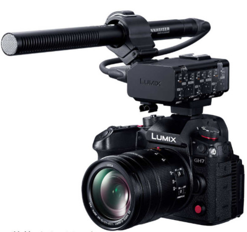 Panasonic XLR Microphone Adapter DMW-XLR2