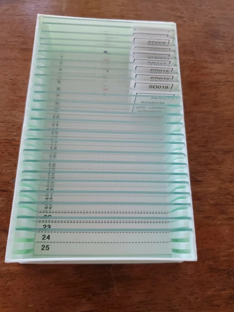 Meade 23-Piece Microscope Slide Biological In Case