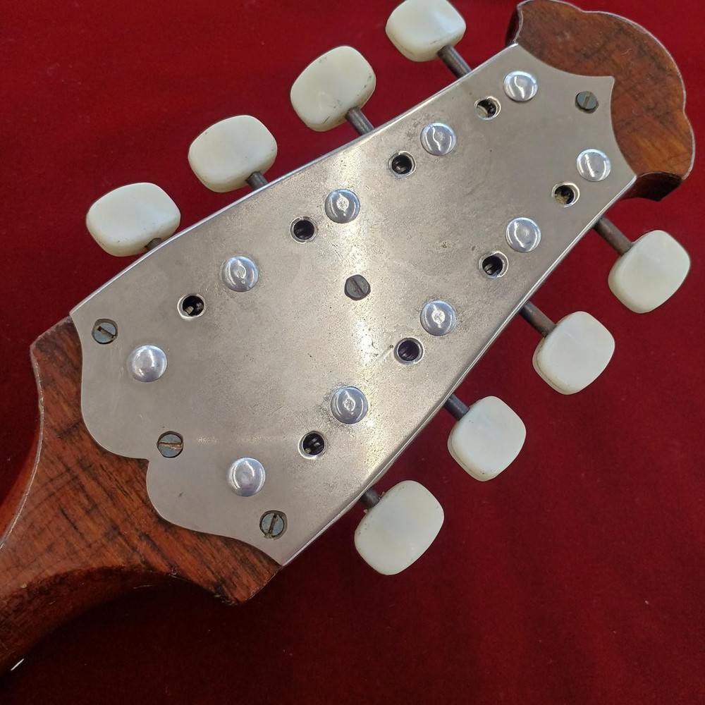 RAFFAELE CALACE NO.13 Mandolin