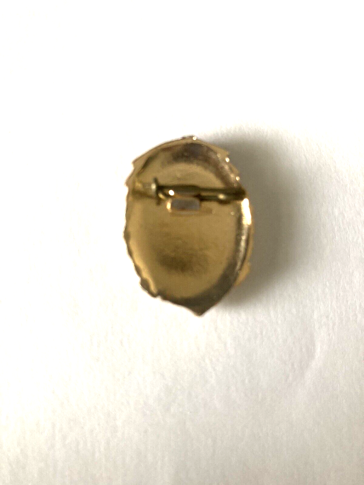 Original Soviet Russian Pin DOSAAF USSR