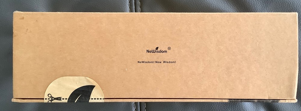 Newisdom Wireless Karaoke Microphone