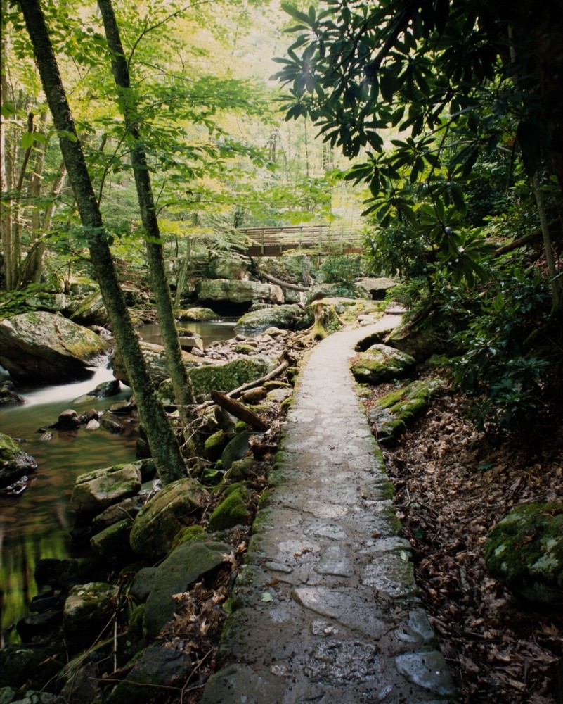 Raleno S116 Scanning Table (light not included)