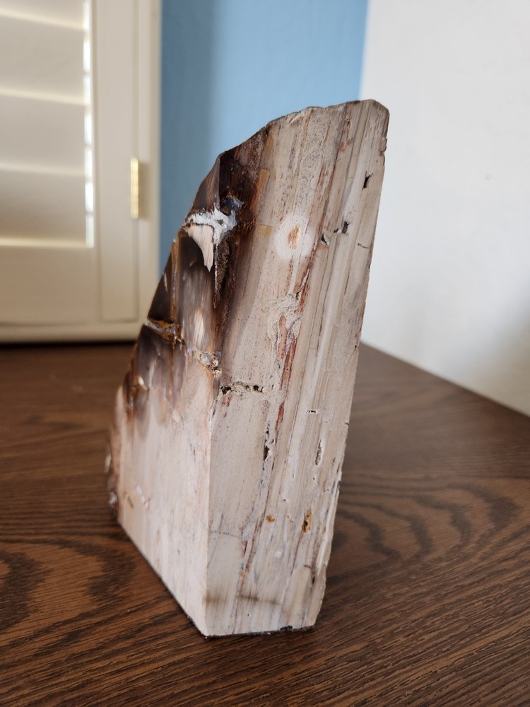 Polished Petrified Wood Bookend 3lb